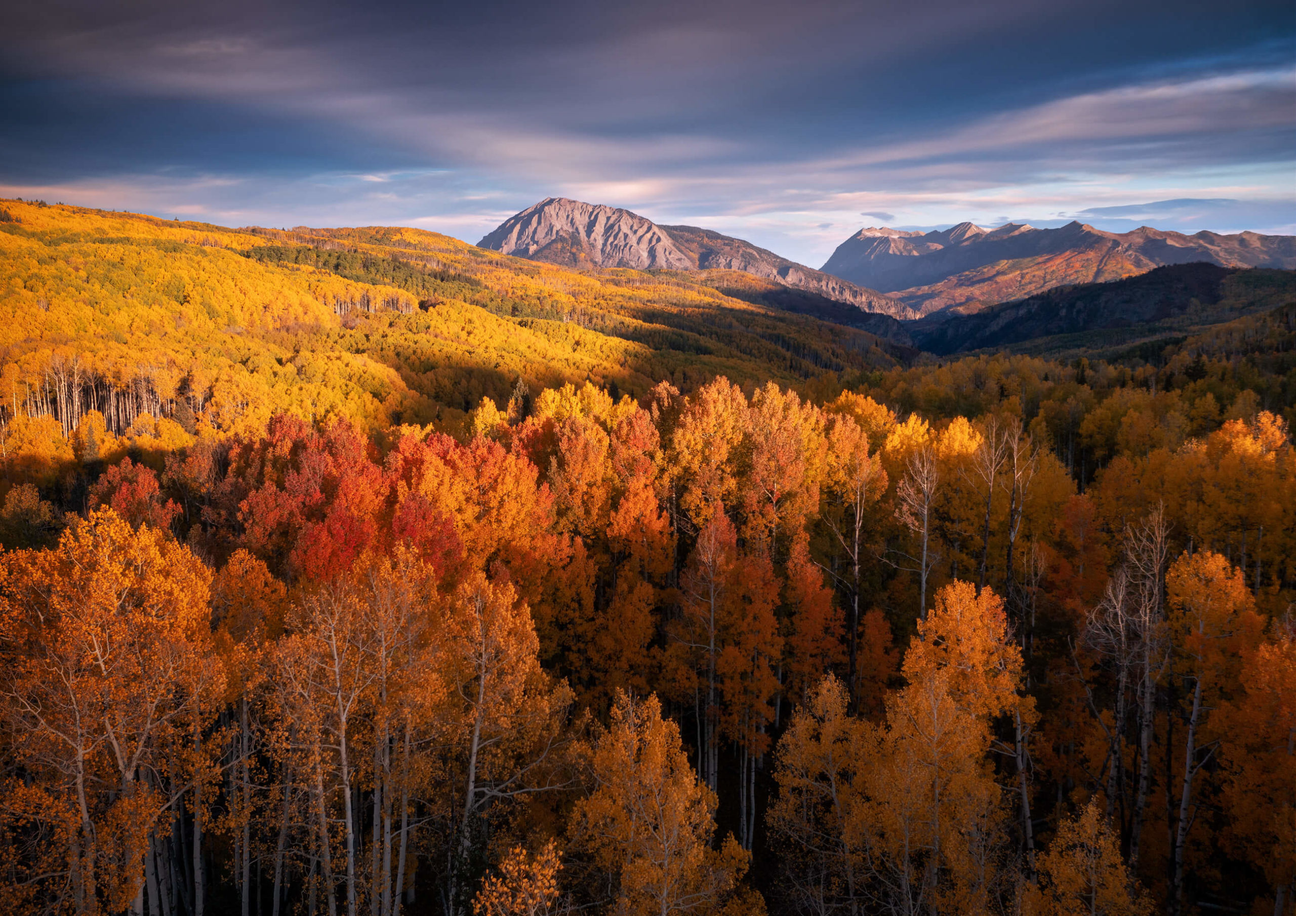 Peak color in Colorado